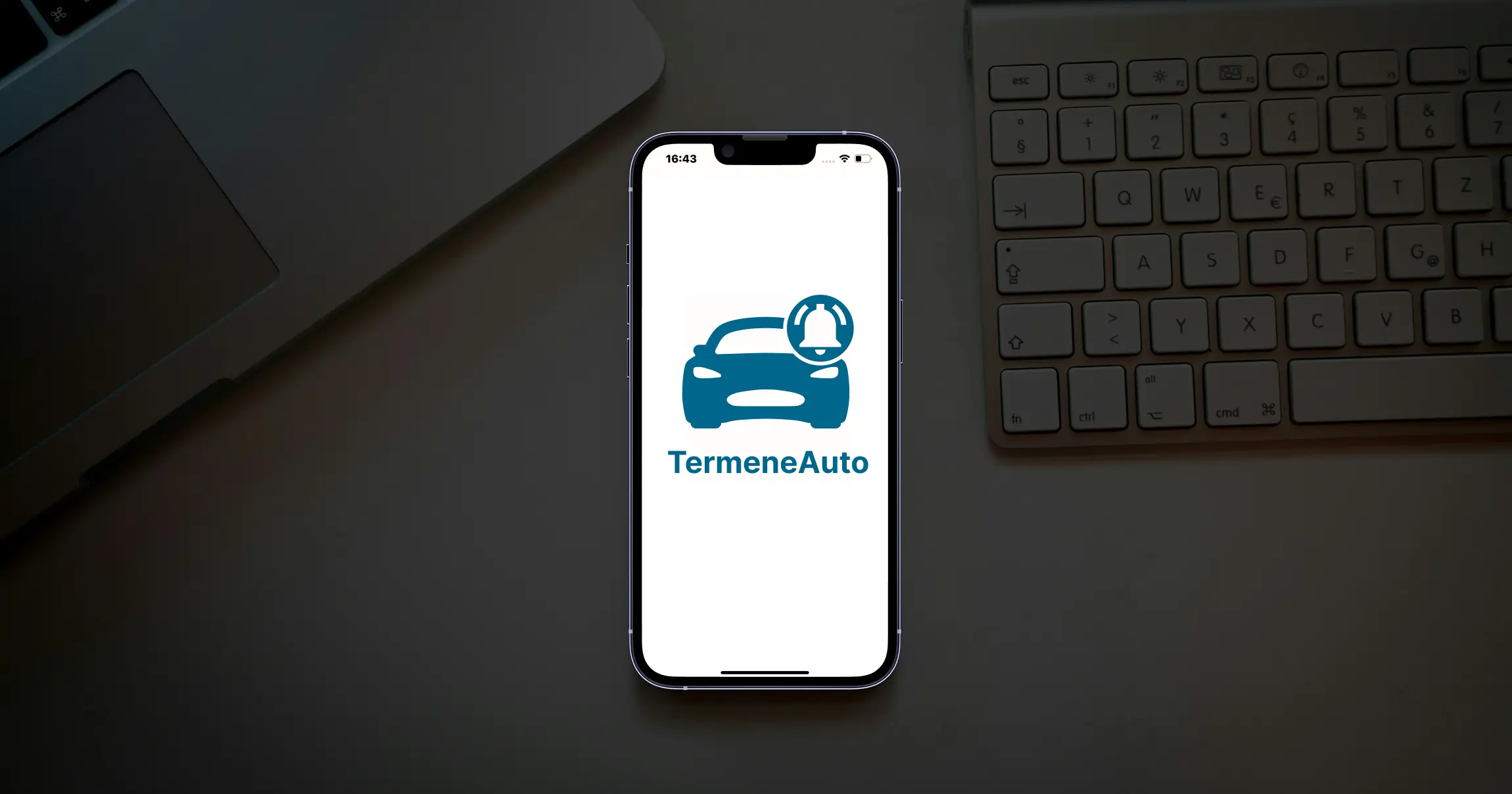 TermeneAuto Picture