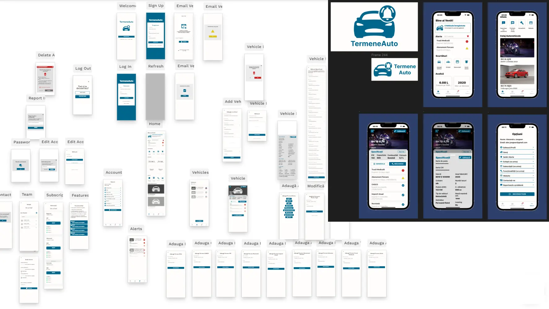 TermeneAuto Application Design
